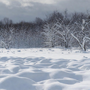 Aquatic Emerald Archipelago