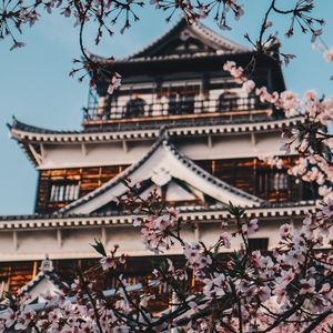 [FREE] 悲樱