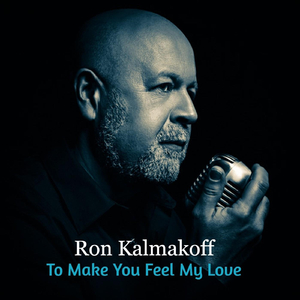 To Make You Feel My Love