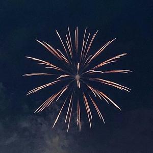 一棵会开花的树（cover 谢春花）（翻自 谢春花）