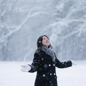 大雪飘呀飘（Remix）