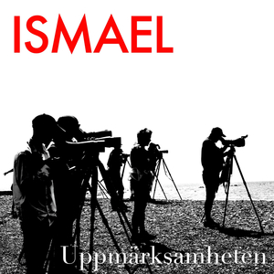 Uppmärksamheten