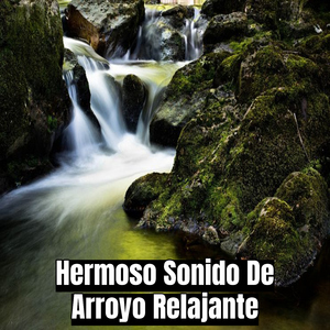 Hermoso Sonido De Arroyo Relajante