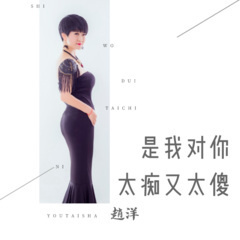 是我对你太痴又太傻 (DJ版)