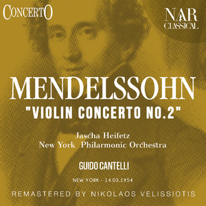 Violin Concerto "Violin Concerto No. 2" in E Minor, Op. 64, IFM 196:II. Andante