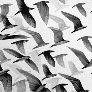 我到外地去看你（Cover 好妹妹乐队）