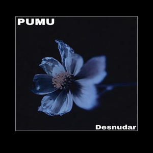 Desnudar