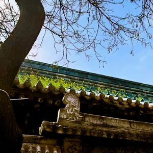 搬风（Prod by FakbeBlood）