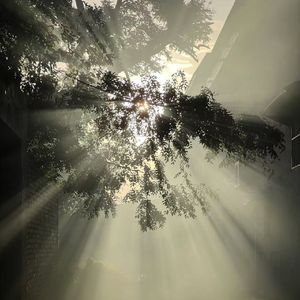 雪后透明的世界