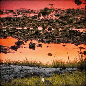 小胡同（释怀版）