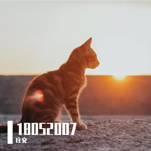 五月二十日，晴（May 20th， Sunny）