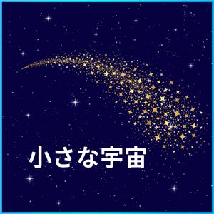 小さな宇宙