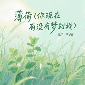 薄荷(你最近有没有梦到我)