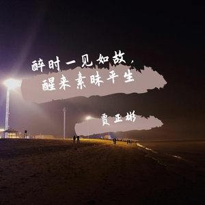 醉时一见如故，醒来素昧平生