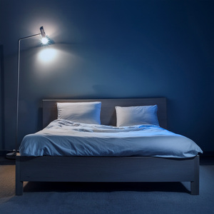 Abrazar Vibraciones Pacíficas De Un Gato