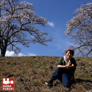 きらめく (鳥版)