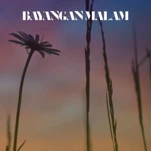 Bayangan Malam