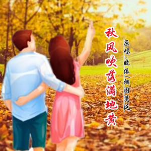 秋风吹落满地黄DJ (对唱版伴奏)