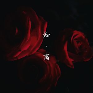 原来，你只是我梦里的路人