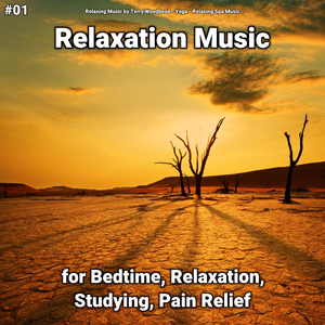 Relaxation Music Pt. 13