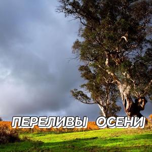 БЕЛЫМИ НОЧАМИ