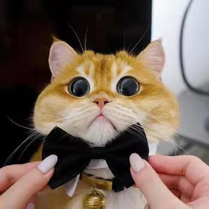 漠河舞厅_Rotten_person