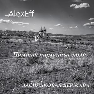 Памяти туманные поля.