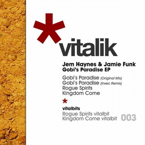 Kingdom Come (Jem's Vitalibit Mix)