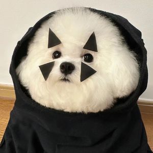 翻唱-小美满（cover 周深）