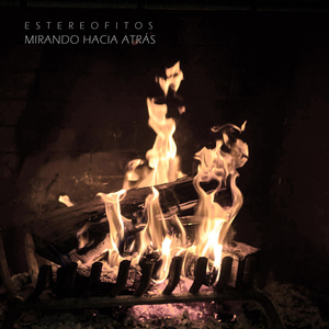 Mirando Hacia Atrás