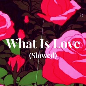 What Is Love (Slowed)