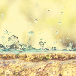 诗意的专注节奏