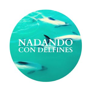 Sonidos Relajantes de la Naturaleza