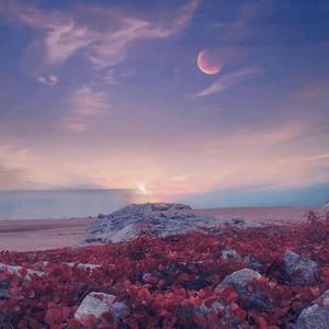 From the Beginning Till Now