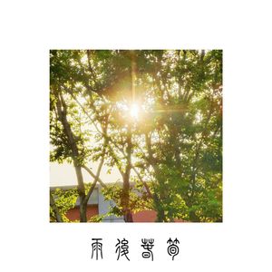 雨后春笋（Wake after rain）