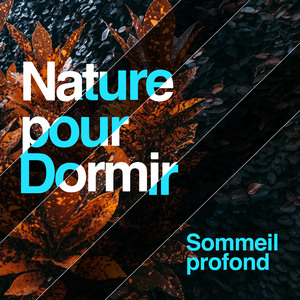 Birds in the Background