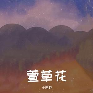 萱草花（翻自 张小斐）