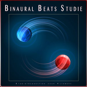 Muziek voor het Leren - Zachte Muziek