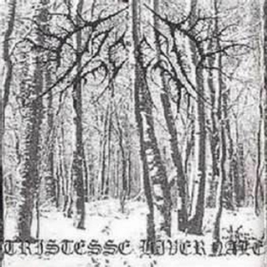 En Mémoire Aux Valeureux Guerriers