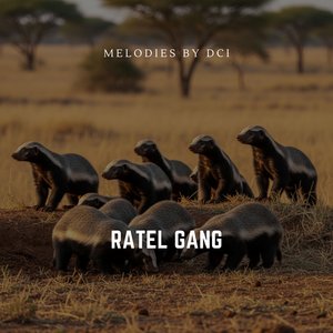 Ratel Gang