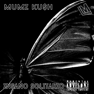 Insano Solitario (Original Mix)