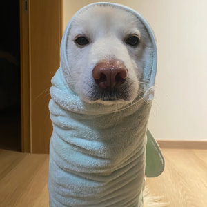 你和雪转瞬即逝