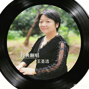 水墨丹青一世情_王圣洁