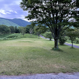 カヴァティーナ 第７番 ハ長調 op.115