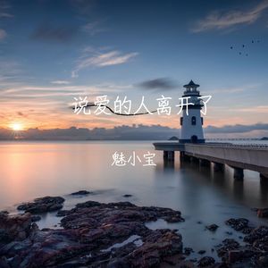 说爱的人离开了