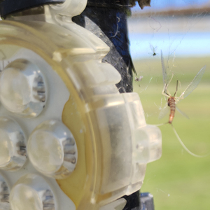 十年了一事无成