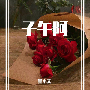 子午阿