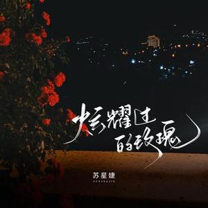 炫耀过的玫瑰