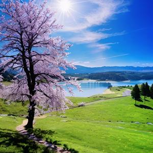 在这个不知所措的年纪（翻自 舒岩）