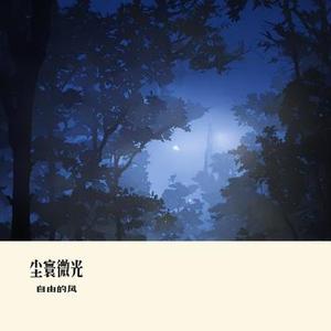 尘寰微光